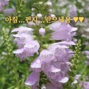 ☆ 즐기면서~! 이미지