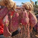 두라농장 이미지