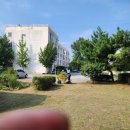 혜전대유치원 이미지