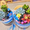 마전초교병설유치원 이미지