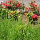 가야 농장 이미지