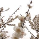 스튜디오스킹키