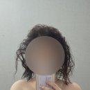 신안마원 | 대전 서구 탄방동 보물에스테틱 윤곽+등관리+쇄골 관리 내돈내산 후기