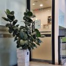 구구동물병원 이미지