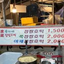 광장26호 티스토리