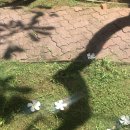 트윈테라스타워-B | [괌] 메인타워 오션뷰 트윈룸 후기ㅣ어메니티&amp;무료 와이파이_힐튼 괌 리조트&amp;스파