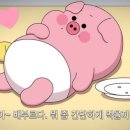 폭식증이 또 시작됐나? 하와이 선물 마우나로아 초콜렛
