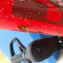 별내온누리약국 이미지