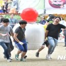 장수-9 이미지