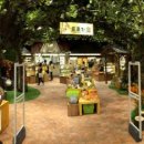 도토리몰 이미지