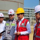 조코라인 이미지