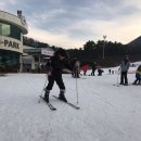 [보도자료] 행정차지부와 함게하는 소아·청소년 당뇨가족 스키교실 개최!! 이미지