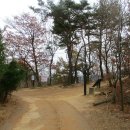 삼화3리 Daum카페