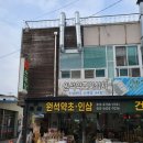 금산수삼센타22호