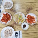 삼순해물칼국수 이미지