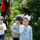 지리산털보농원 이미지