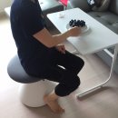 [시디즈] 다용도로 활용하기 좋은 기능성 스툴 &#34;펑거스무브(FUNGUS MOVE)&#34; 사용 후기
