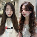 서현헤어크리닉 이미지