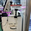 보람정육점