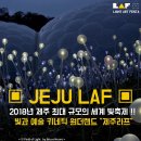 제주 아티스트 이미지