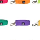 팔레트멍 이미지