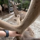 양록식품 이미지