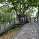 서울숲 숲속놀이터 화장실 이미지