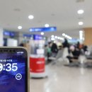 카멜리아 이미지