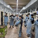 용접기초 교육과정 이미지