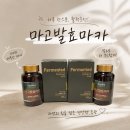 마고마카 마고발효마카 발효과립 슈퍼푸드 후기