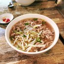 5월의 무계획 시드니 여행 카툼바 마을 맛집 포모이 쌀국수