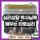 마음을 길을 여는 타로 자격과정 | 심리상담 박사님과 함께 타로심리를 배워보세요