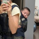 뉴스마트 | [내돈내산] 에스쁘와르 뉴스마트 포대기 망사, 육아템 사용 후기