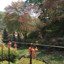 반송동248 이미지