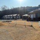 제부 포레스트 이미지