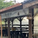 다 마시따 이미지