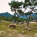 춘천사랑종합유통 이미지