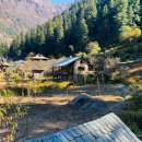 현지네 민박 이미지