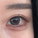 글라스미 렌즈미 웨스턴돔점 | 렌즈미 신상 빅사이즈 렌즈 [유스온] 그레이색상 내돈내산 리뷰