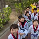 효성태권도스쿨 이미지