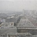 생명나무공인중개사사무소 이미지