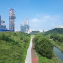 연기면_세종예술고 이미지