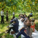 주일농장 이미지