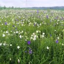 평화농장 이미지