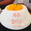 앨리스702 이미지