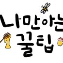 연세채움학원
