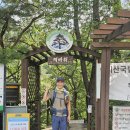 양반골 | *괴산 '칠보산(778m)-쌍곡계곡' 산행기