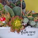 조은아트 - 광주시 산수로58번길 24-11 | 조은아트