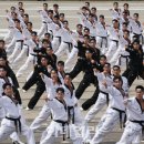 용맹태권도 이미지