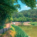 운암지수변공원 이미지